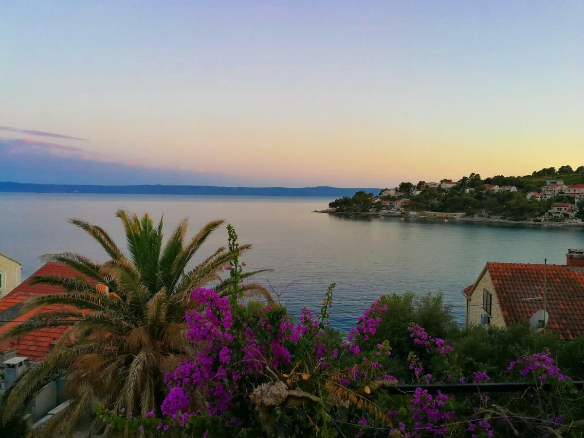 Apartman Damir Sumartin Εξωτερικό φωτογραφία