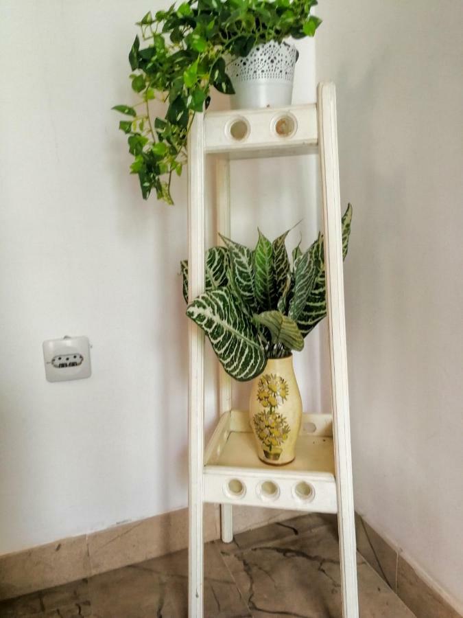 Apartman Damir Sumartin Εξωτερικό φωτογραφία